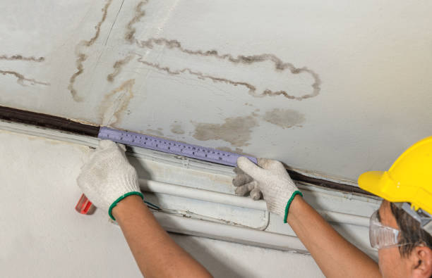 Reliable Mold Remediation contractor in North Providence, RI by Local Water Damage Repair